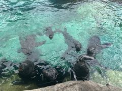 -珠海长隆海洋王国