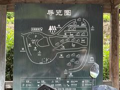 -杨家堂村