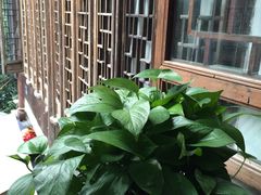 -礼耕堂·百年茶人餐厅(梅家坞店)
