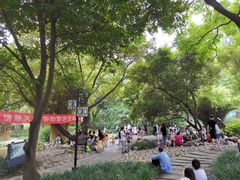 -成都市活水公园