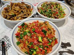 -壹盏灯(惠农店)