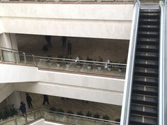 -重庆医科大学附属第一医院(金山院区)