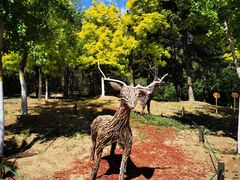 -北京西山国家森林公园