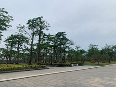 -芒洲湿地公园