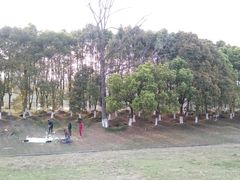 -杭州师范大学(下沙校区)