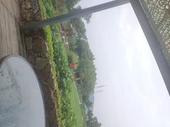 -田园东方蜜桃村的田野营地