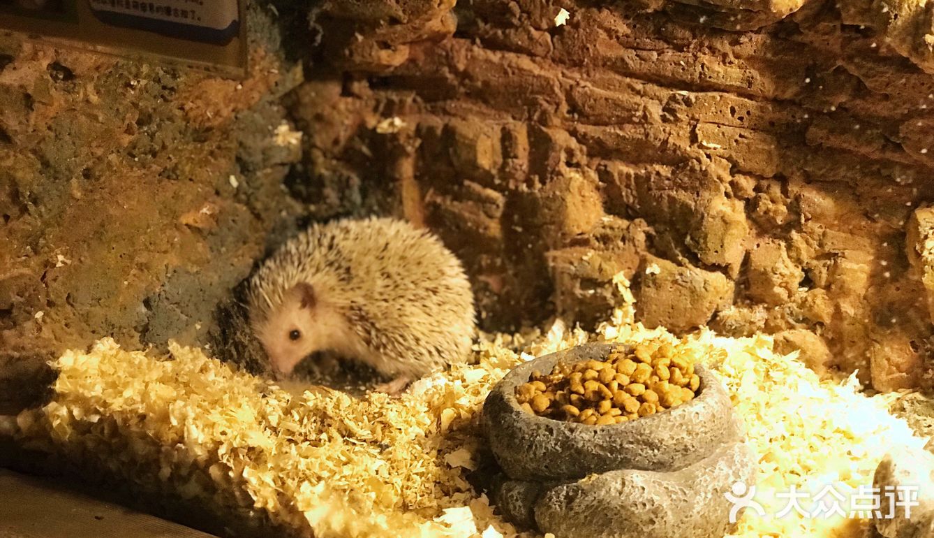 只有企鹅和水母和几个小鱼 海星不能手摸