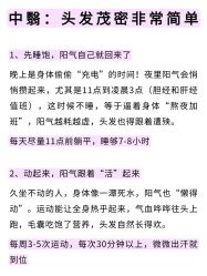-克丽缇娜