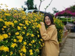 -南诏风情岛