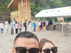 -五营红松林海景区