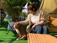 -CAMP.33露营烤肉·团建聚餐(创智天地店)