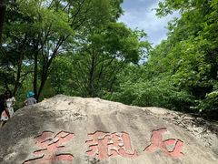 -王顺山国家森林公园