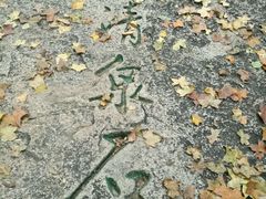 -北京鹫峰国家森林公园