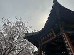 -桃花堤公园