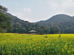 -广州市石门国家森林公园