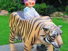 -南京银杏湖乐园