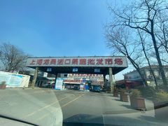 -上海龙吴水胜海发市场