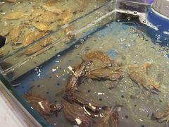 -澜悦港海鲜体验主题餐厅