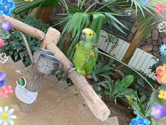 -南宫五洲植物乐园