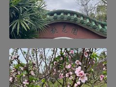 -广州莲花山旅游区
