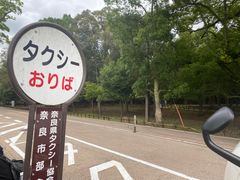 -奈良公园