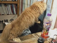 -小时光咖啡馆(开森度假森林店)