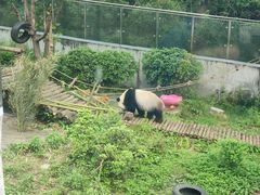 -黔灵山公园