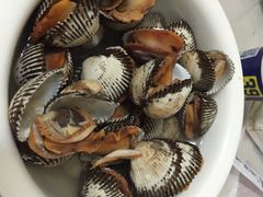 小海洋-小海丁
