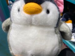 -海合安武汉极地海洋公园