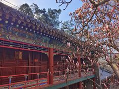 -潭柘寺景区