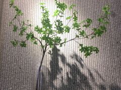 -古乡居甜品(大信店)