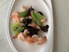 -云中小雅