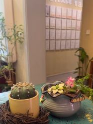 点击看大图 -栖木行空·女子定制美肤·芳香疗愈SPA