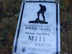-狮子山郊野公园
