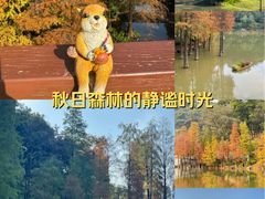 -云溪植物园