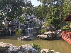 -东莞植物园