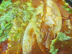 -白老三牛肉丸子面(平阳广场店)