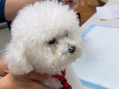 -联合动物医院(光谷诊疗中心)