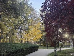 -玲珑塔公园