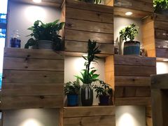 -南国锋味椰子鸡(瀚海店)