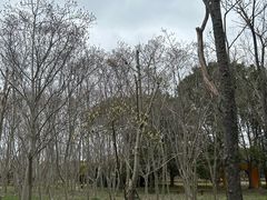 -嘉北郊野公园