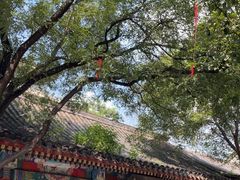 -戴月轩(琉璃厂东街店)