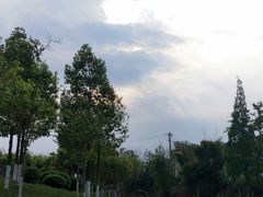 -两河城市森林公园
