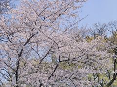 -东湖磨山景区