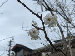 -驿舍·民國老营房院子私房菜(科学会堂店)