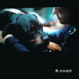 因为家里养宠物的原因，所以特别喜爱小动物