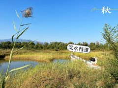 -野鸭湖国家湿地公园