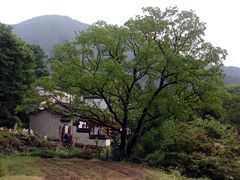 iphone_upload_pic-塔川景区