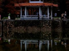 -深圳仙湖植物园
