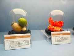 -岳阳市博物馆